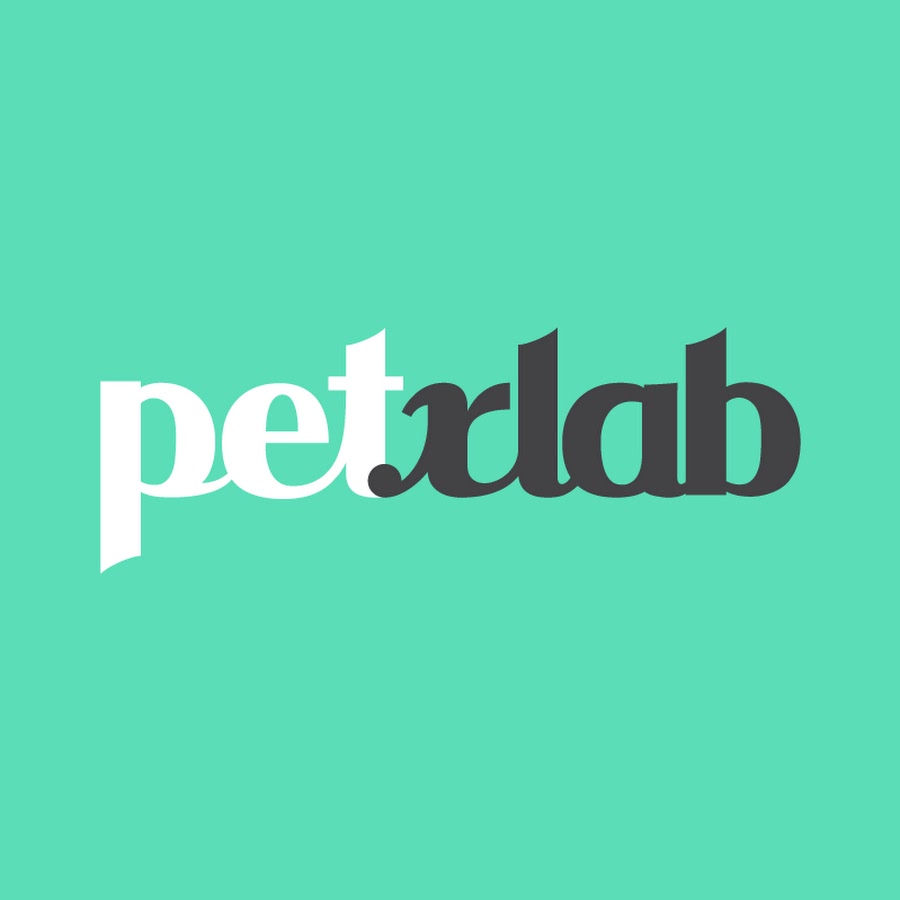 petxlab YouTube 频道头像