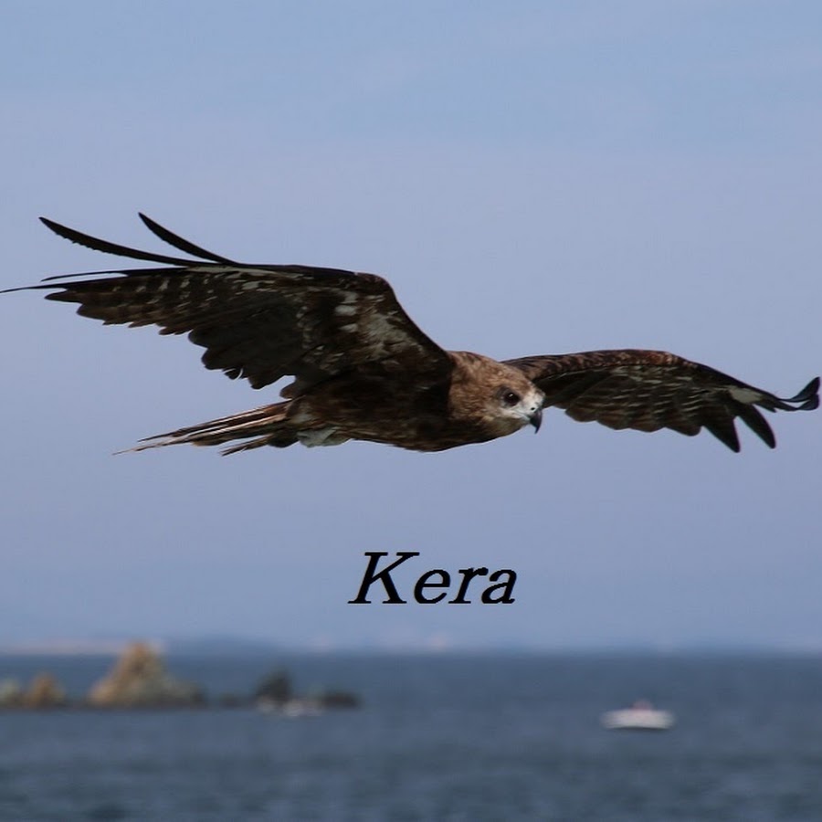 kera's promenade YouTube channel avatar