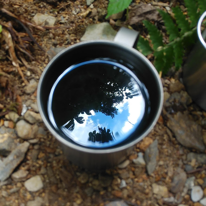 Coffee鳥ッパー - 網紅的藏寶箱 