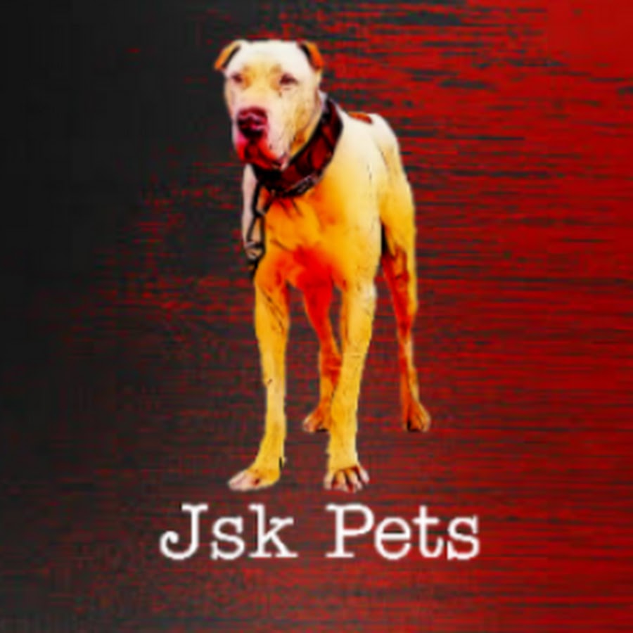 jsk pets YouTube channel avatar