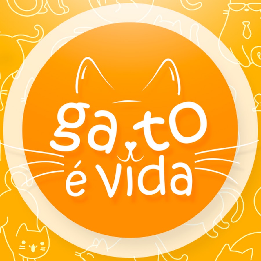 Gato Ã© Vida Oficial YouTube channel avatar