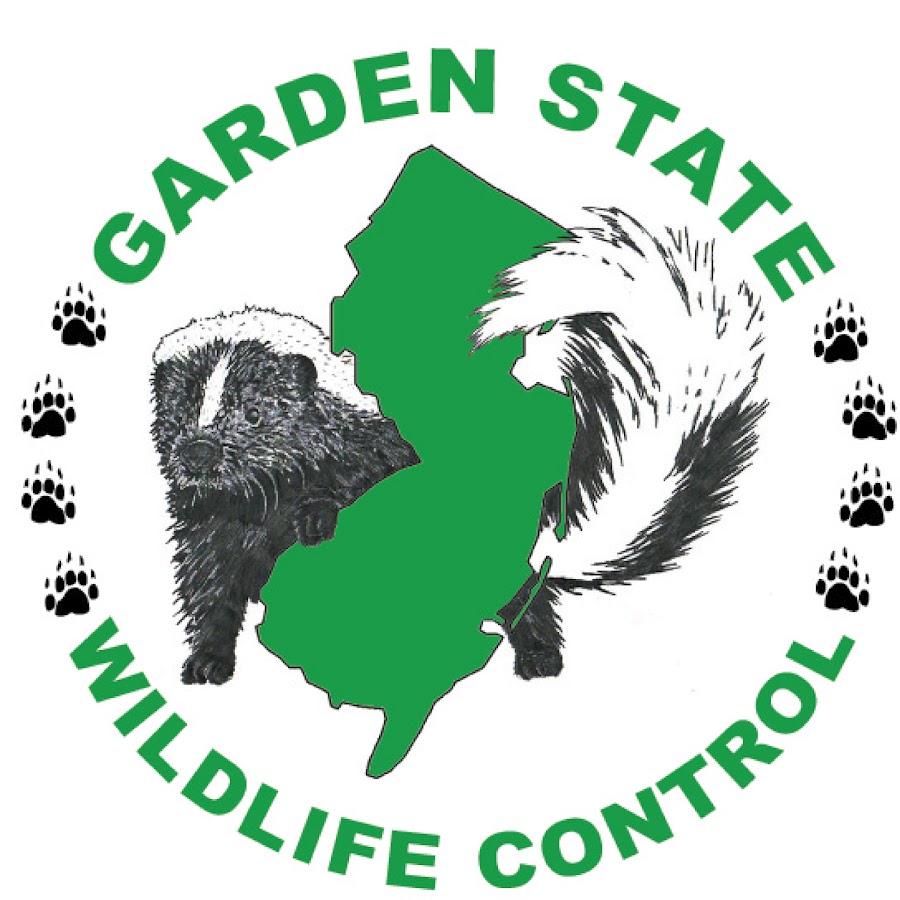 Garden State Wildlife