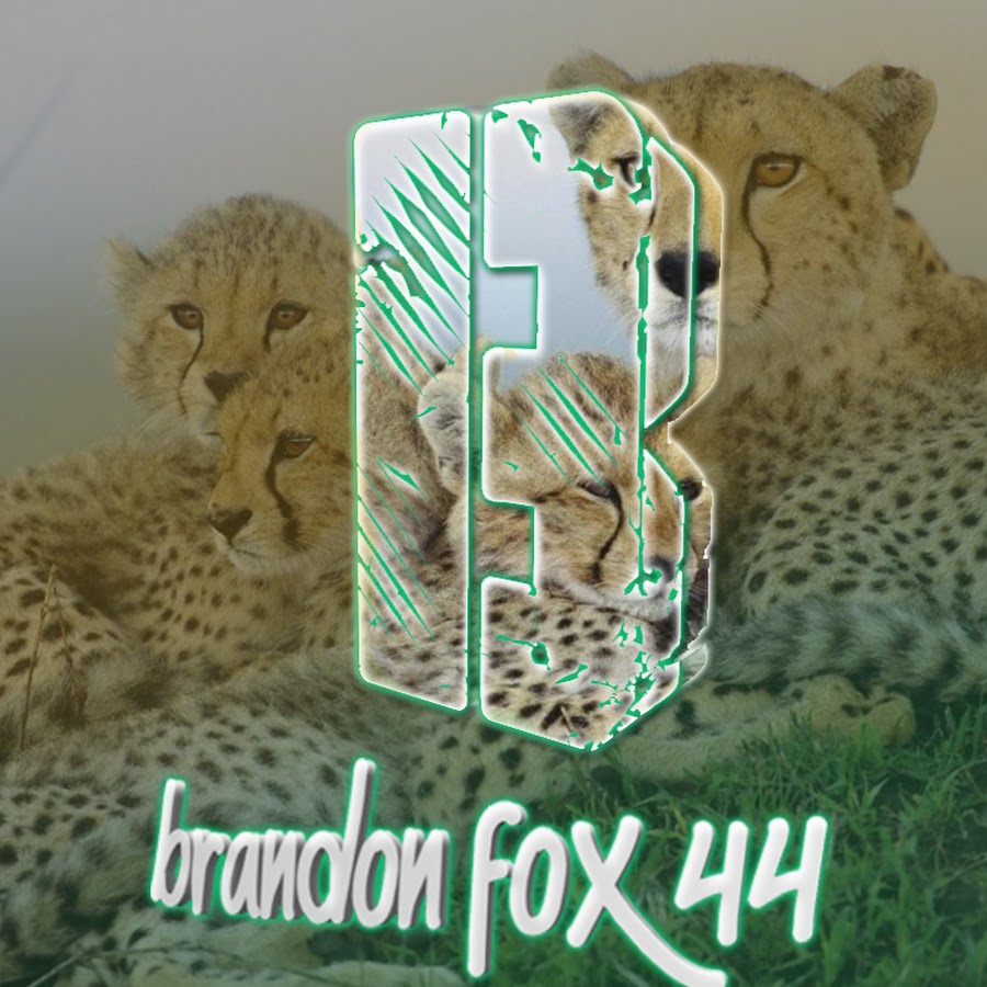 BRANDON FOX 44 YT