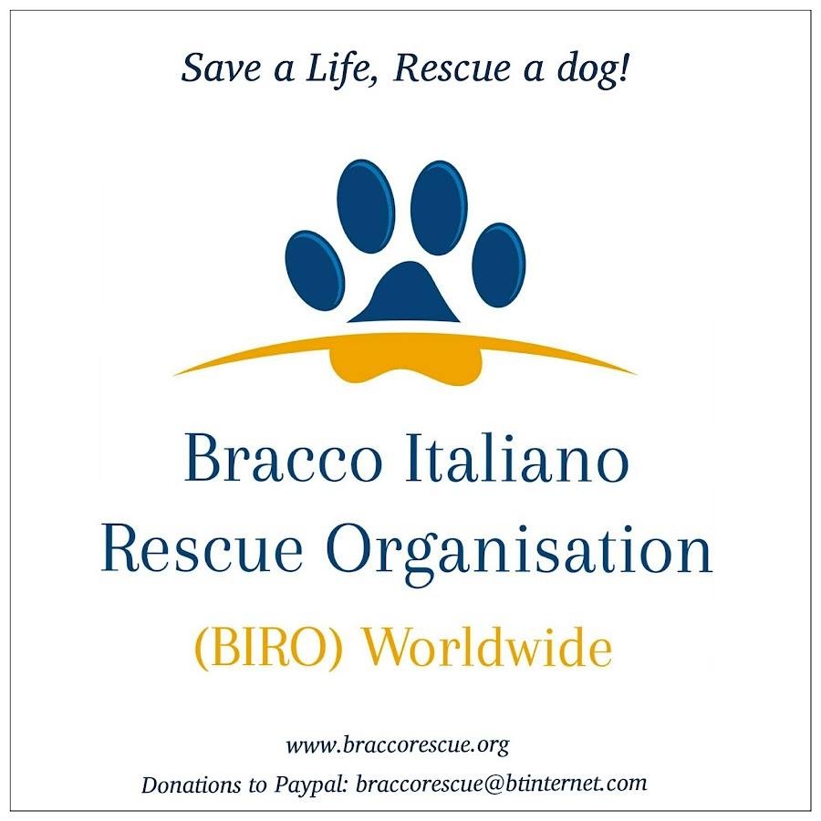 Bracco Italiano Rescue Organisation (BIRO) رمز قناة اليوتيوب