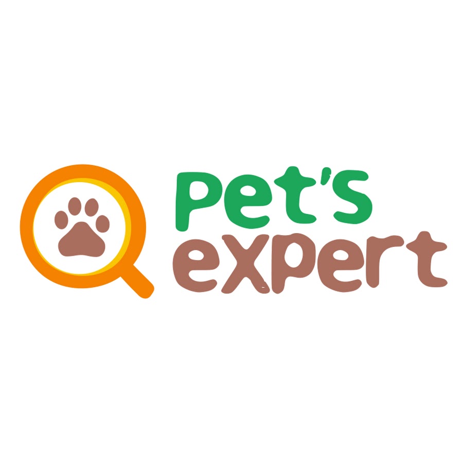 PetsExpert YouTube kanalı avatarı