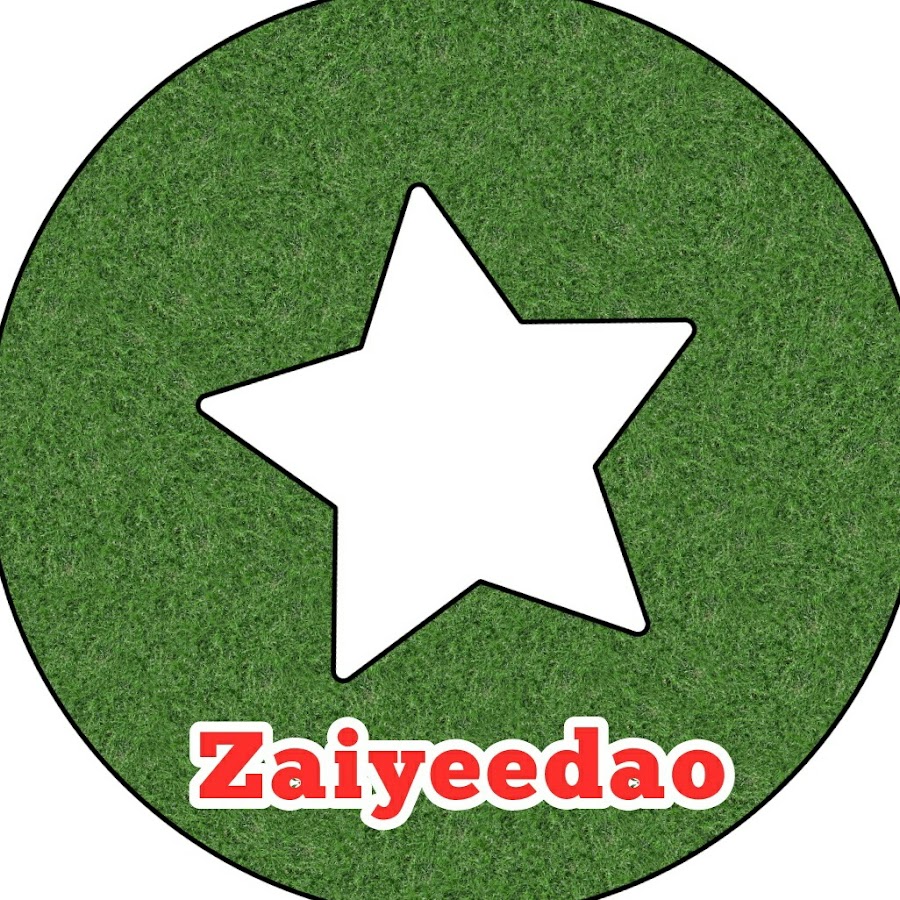 zaiyee dao यूट्यूब चैनल अवतार