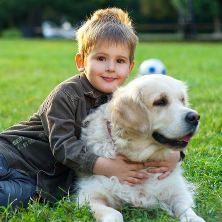 Chien Et BÃ©bÃ©