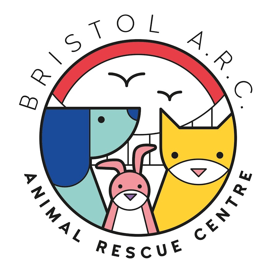 Bristol Animal Rescue Centre Avatar de chaîne YouTube