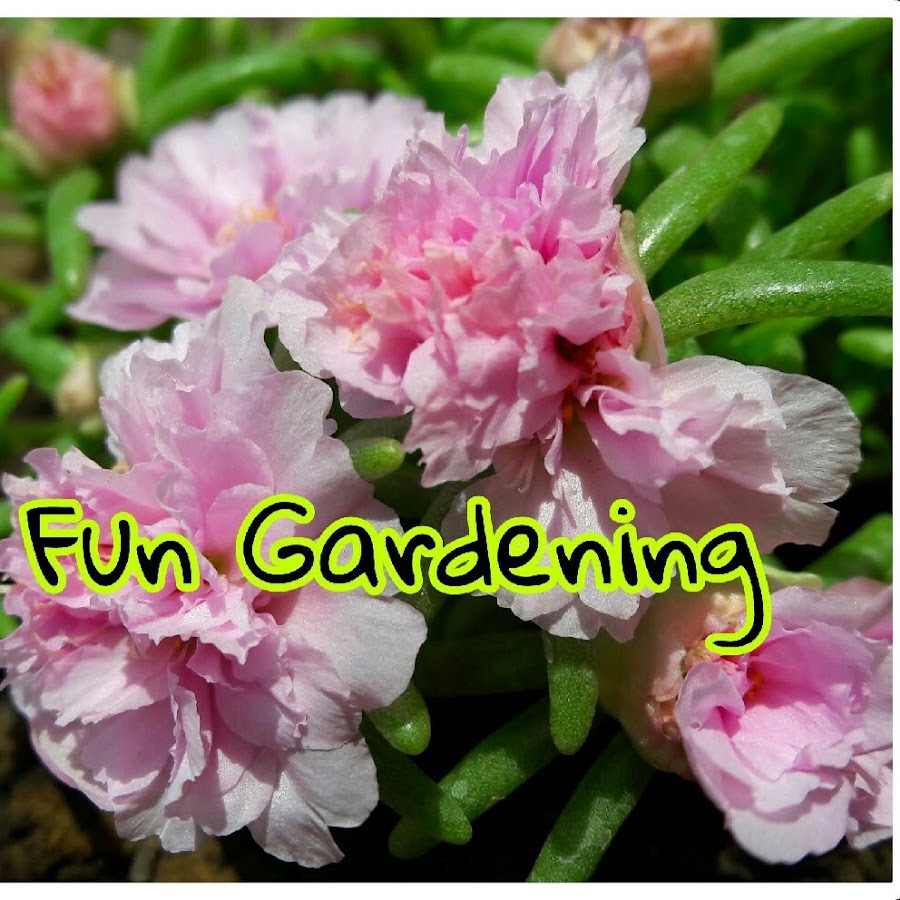 Fun Gardening رمز قناة اليوتيوب