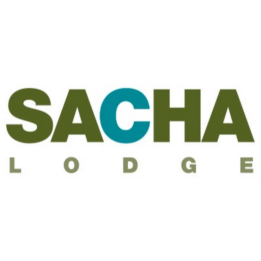 Sacha Lodge YouTube channel avatar