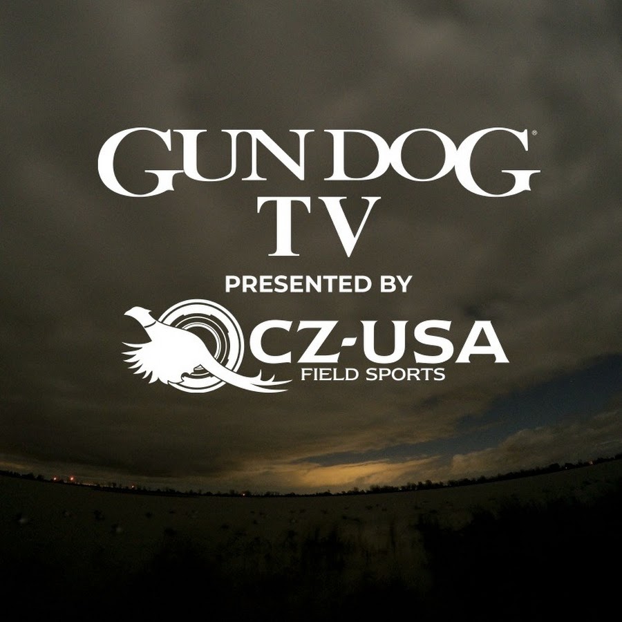 GunDog TV Show YouTube channel avatar