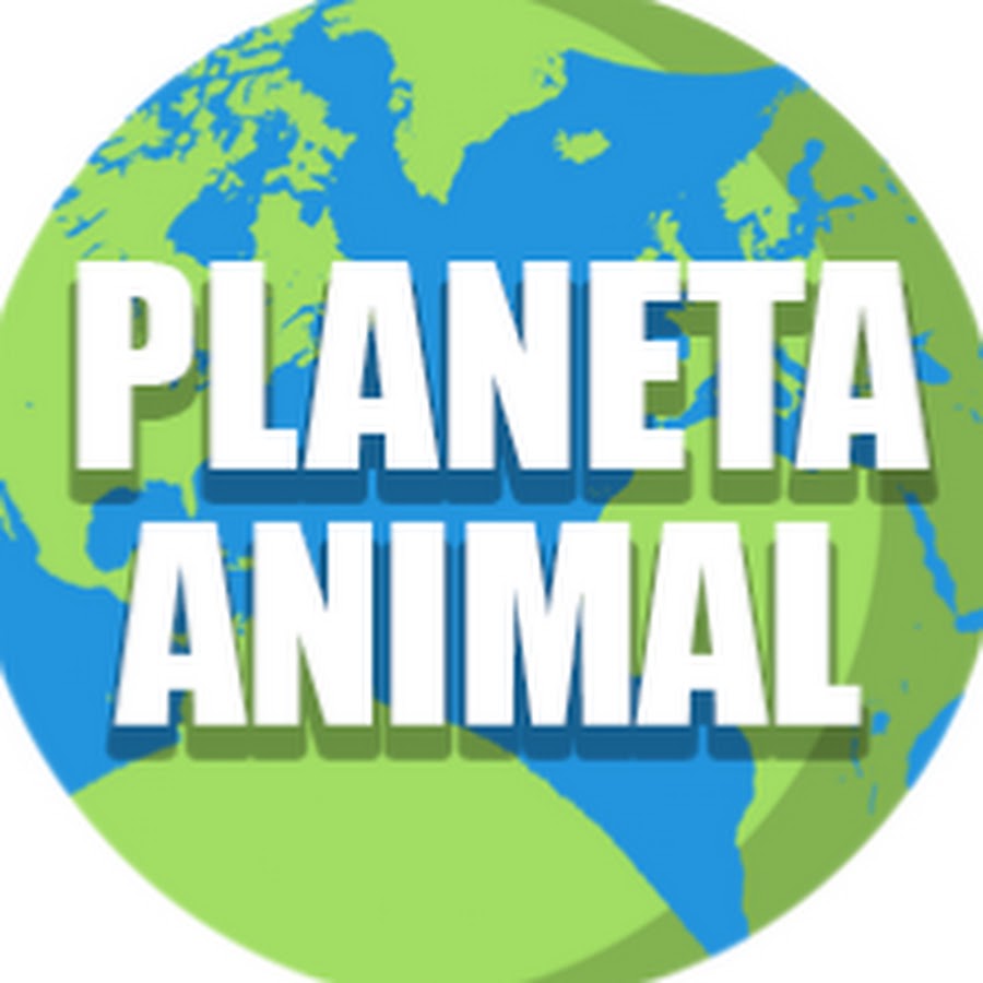 PLANETA ANIMAL YouTube channel avatar