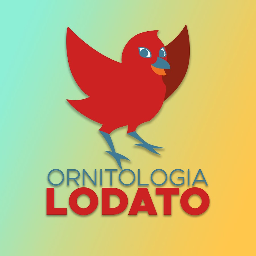 Ornitologia Lodato YouTube channel avatar