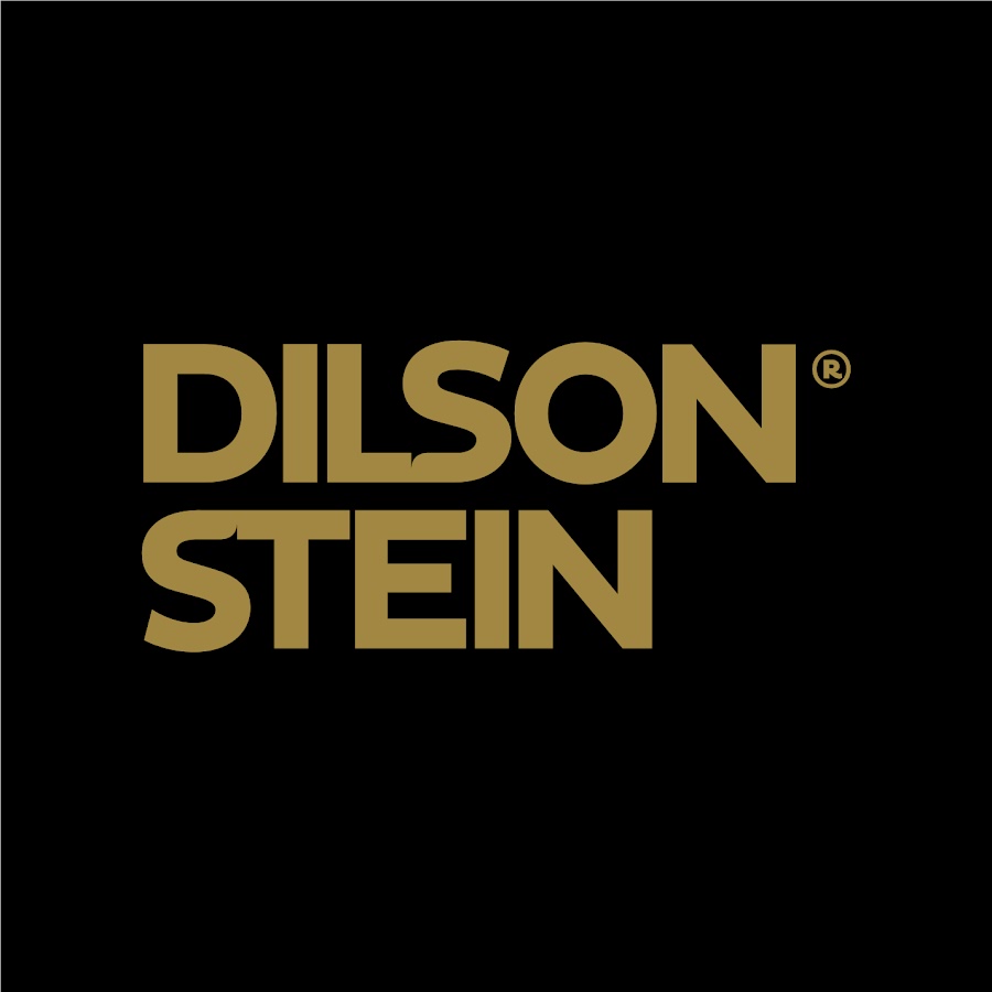 Dilson Stein New Models YouTube 频道头像