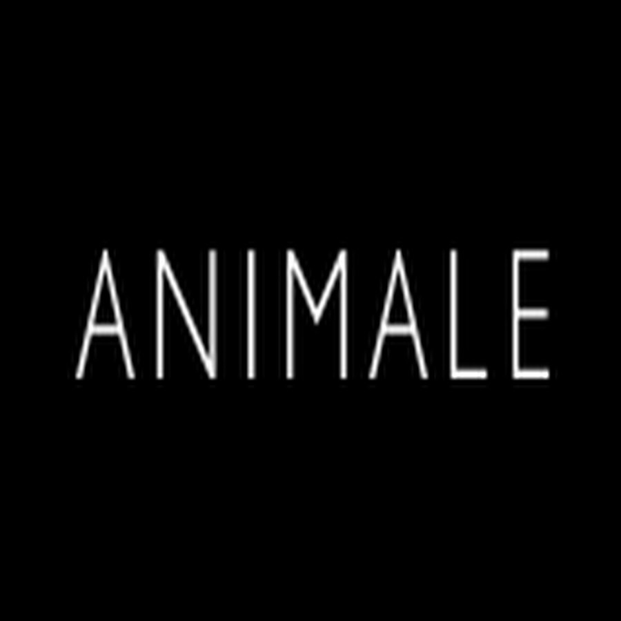 Animale Brasil YouTube 频道头像