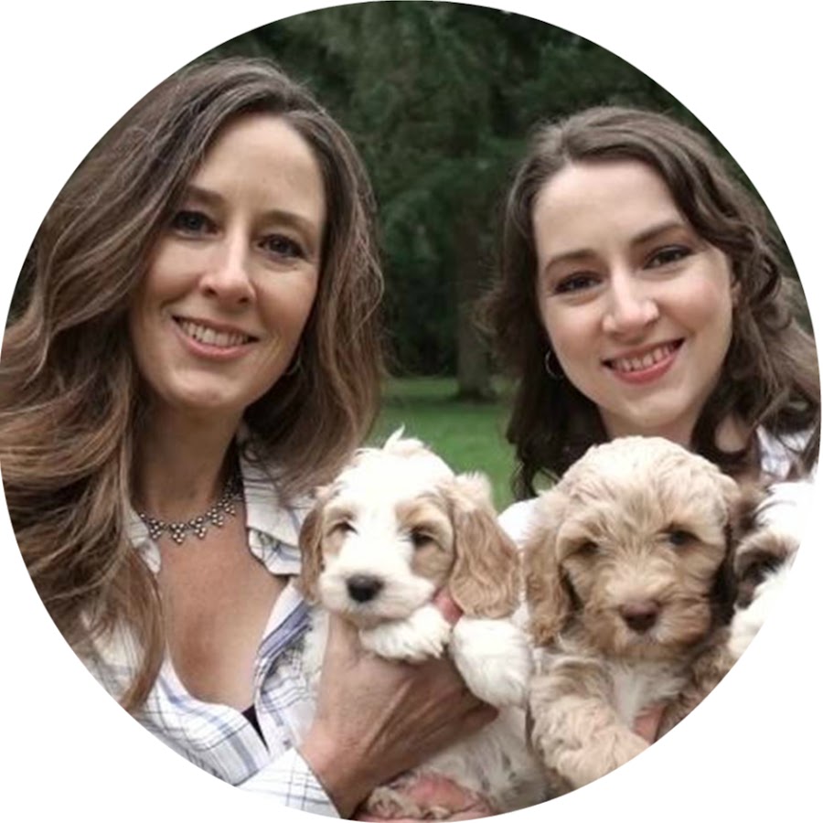 The Practical Puppy YouTube channel avatar