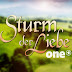 Ideen fur Sturm Der Liebe One Heute