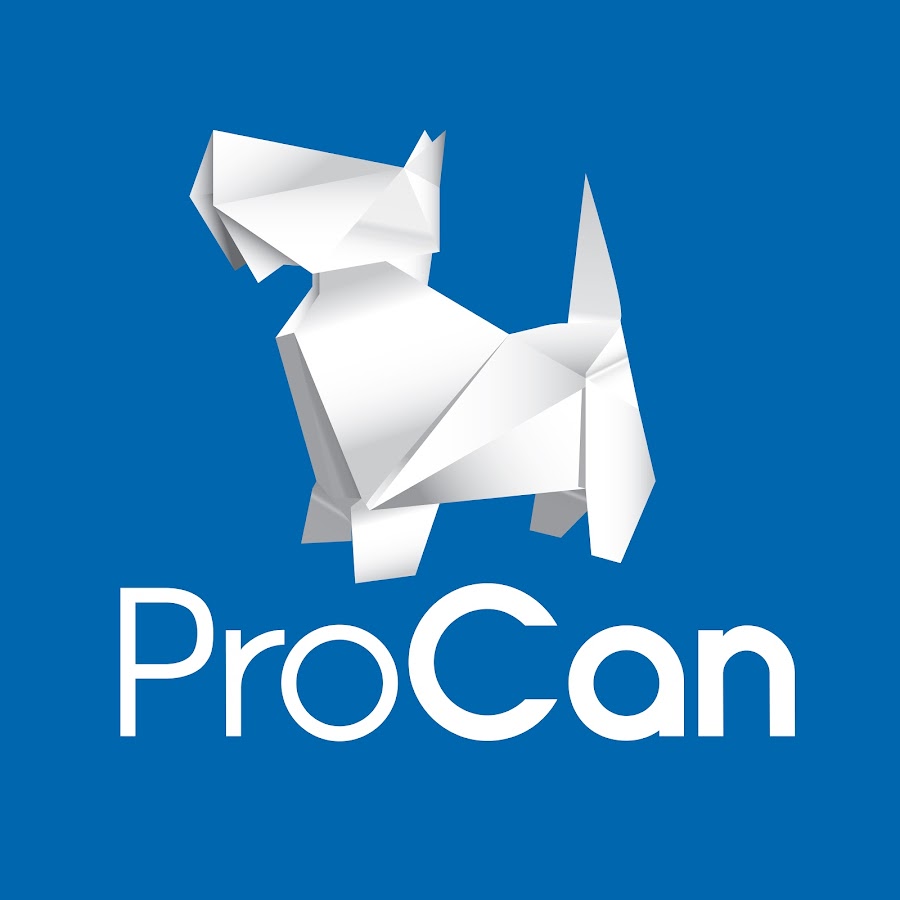 ProCan TV YouTube 频道头像