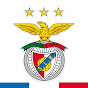 SL Benfica • France YouTube Profile Photo