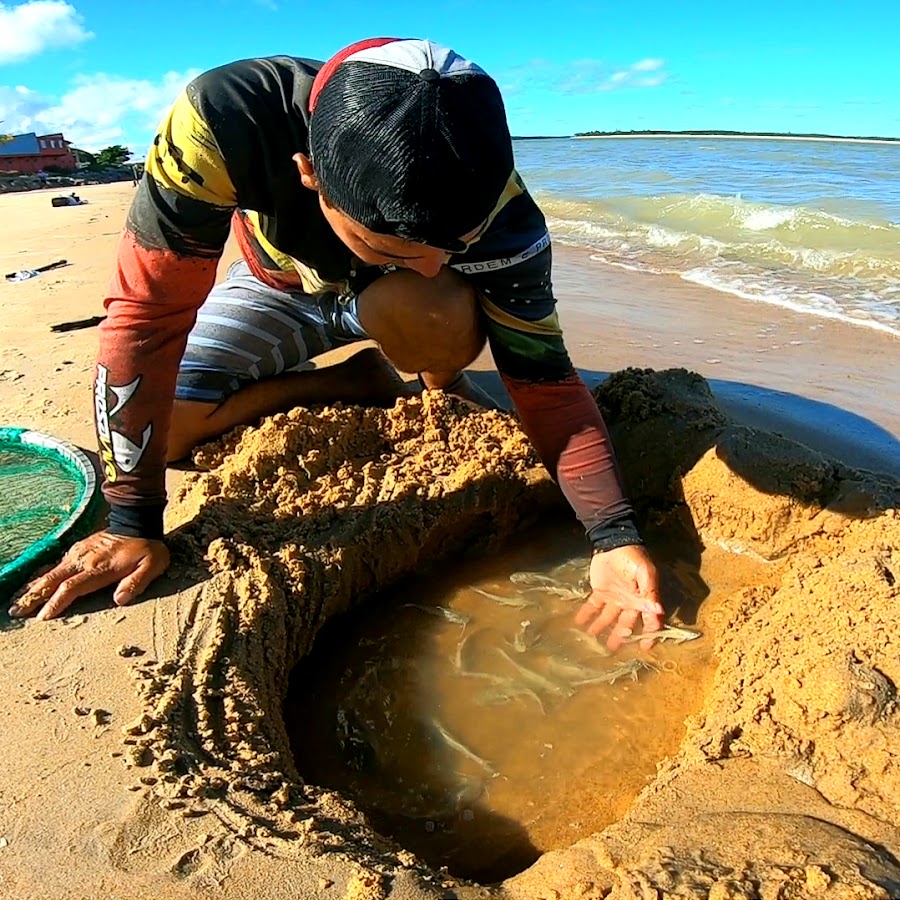 Pesca Selvagem Avatar de chaîne YouTube