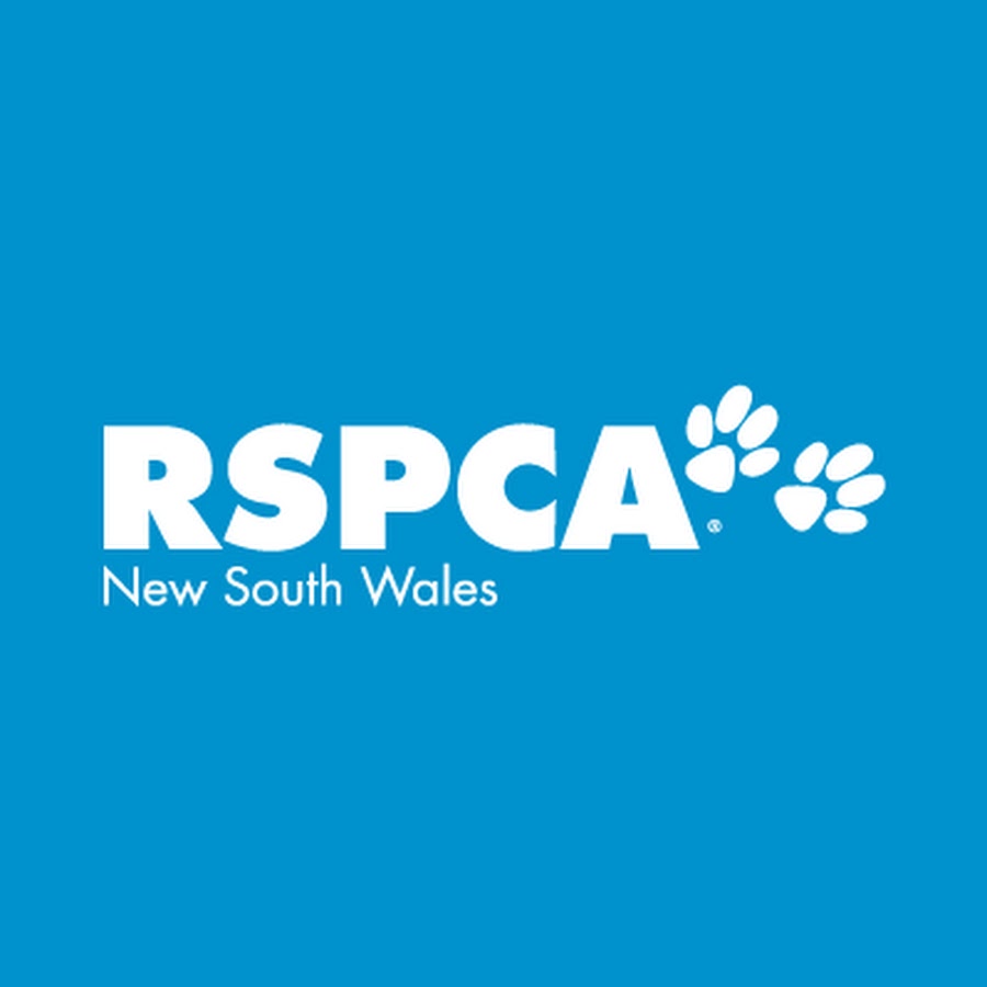 RSPCA NSW YouTube channel avatar
