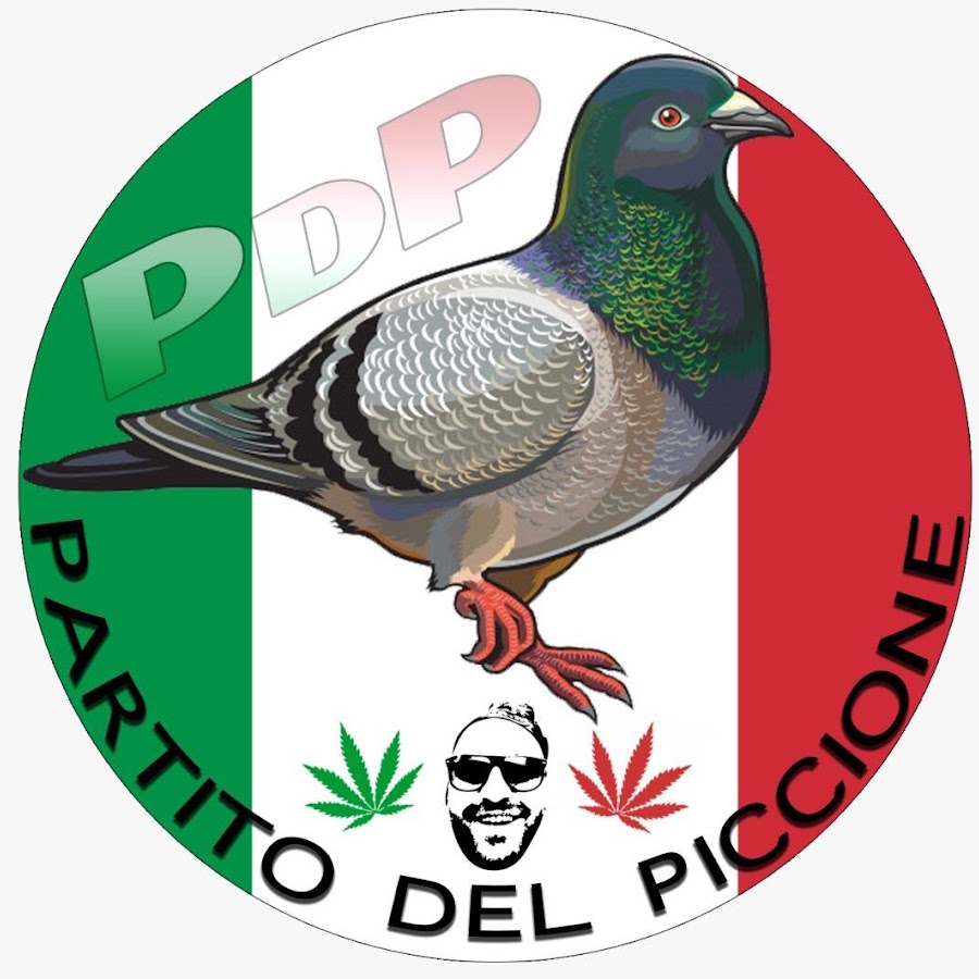 PartitoDelPiccioneTV YouTube channel avatar