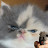 Rose K Avatar