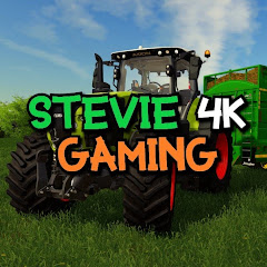 Stevie 4K Gaming net worth