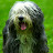 Gerda van Gendt Avatar