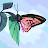 Md oreneb Avatar