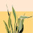 M Mahen Avatar