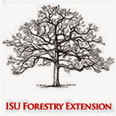 Forestry Extension