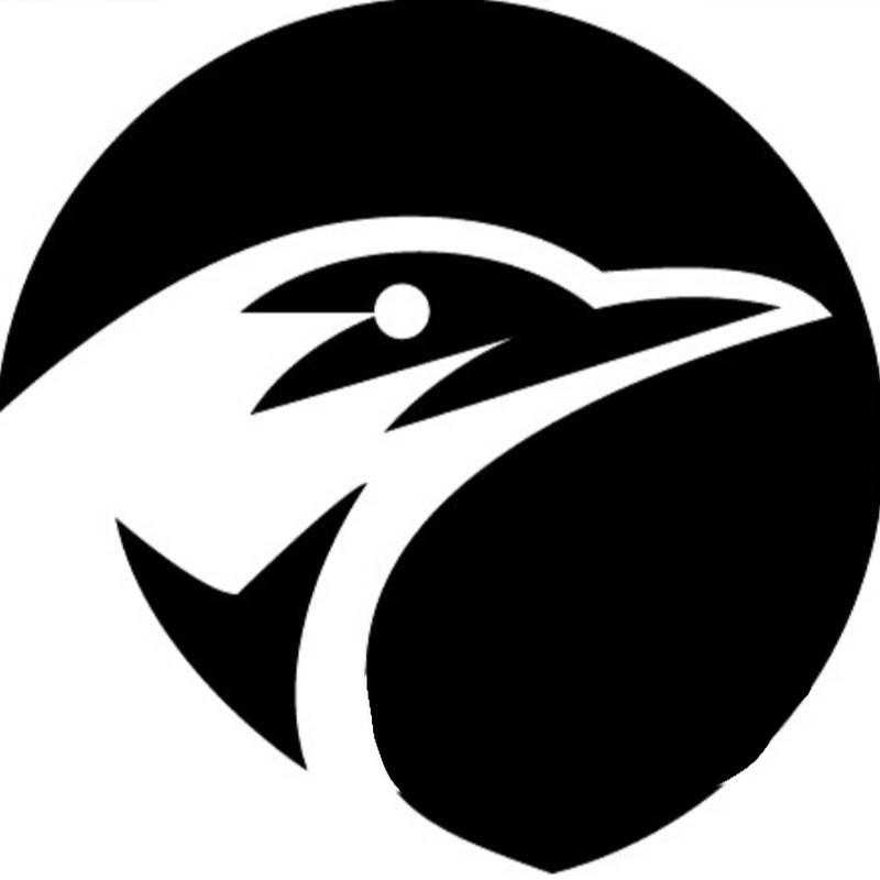 Logo for Crow Team