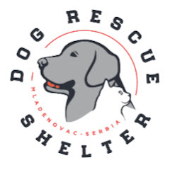 Dog Rescue Shelter Mladenovac, Serbia