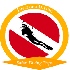 Divertino Scuba Diving Magazine
