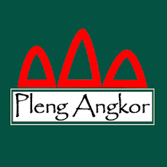 Pleng Angkor net worth