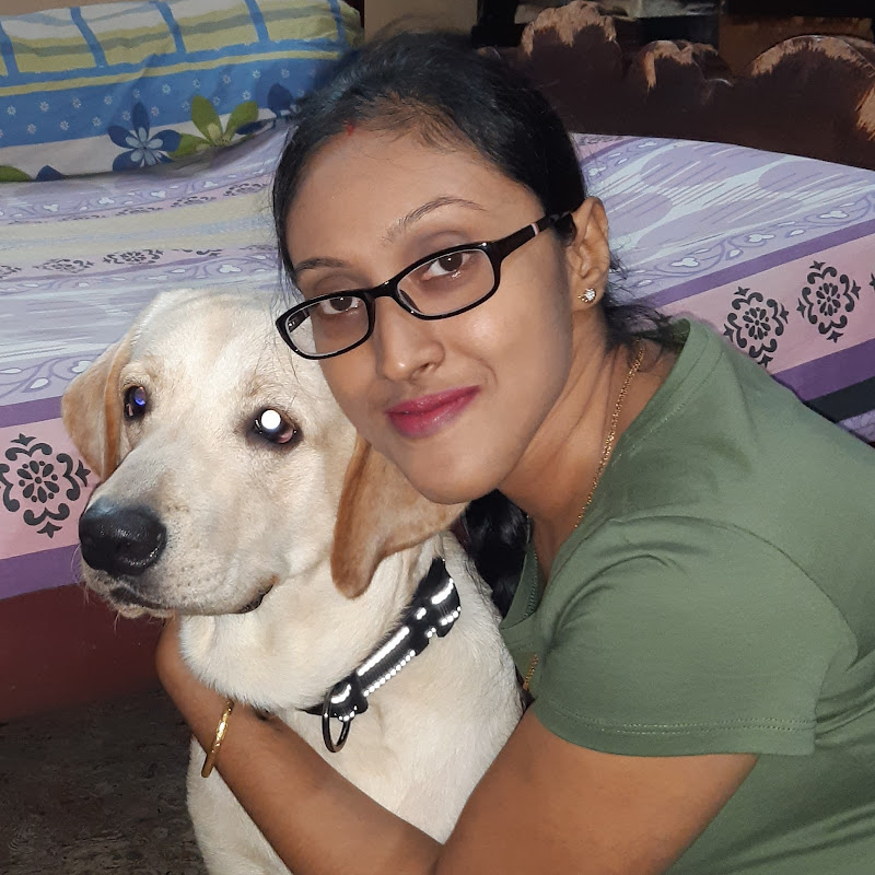 800px x 800px - Dashboard Video : puja chakraborty Me & My Coco. Today, Coco gets a new  toys from Mum. Watch the funny reaction of Coco. ðŸ’–ðŸ’–ðŸ’–ðŸ•â€ðŸ¦ºðŸ’•ðŸ‘© #coco Â·  Wizdeo Analytics