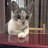 Lucila Avatar