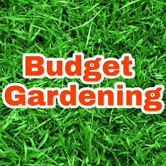 Budget Gardening