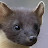 John Kemp Avatar