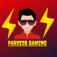 Parvesh Gaming
