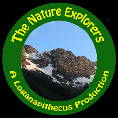 The Nature Explorers