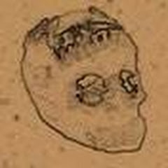 Thumbnail of related channel