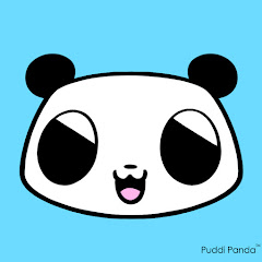 Puddi Panda net worth
