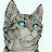 Maria G. Avatar