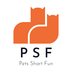 Pets Short Fun