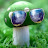 Chill Mushroom
