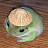 beep boop Avatar