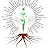 Plant City Yoga