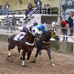 Horse racing gdl...